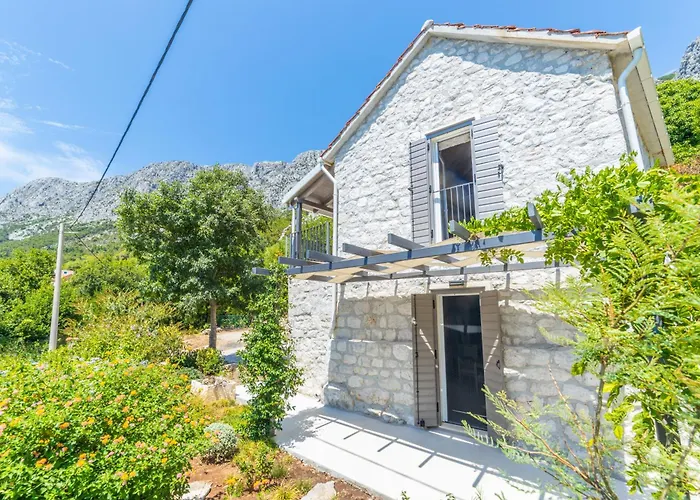 Kuca Kalma * ザオストログ