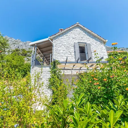 Kuca Kalma * زاووستروج